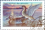 Stamps Russia -  Intercambio m1b 0,20 usd 1 r. 1992