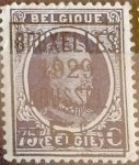 Stamps Belgium -  Intercambio 0,20 usd 5 s. 75 cents. 1929