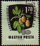 Stamps Hungary -  SG 1778