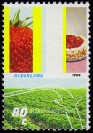 Stamps Netherlands -  SG 1870