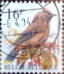 Stamps Belgium -  Intercambio nfxb 0,25 usd 16,00 fr. 1992