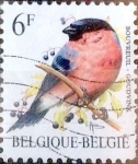 Stamps Belgium -  Intercambio nfxb 0,20 usd 6,00 fr. 1985