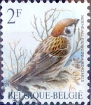 Stamps Belgium -  Intercambio nfxb 0,20 usd 2,00 fr. 1985
