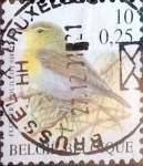 Stamps Belgium -  Intercambio 0,20 usd 10,00 fr. 2000