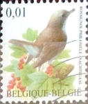 Stamps Belgium -  Intercambio 0,20 usd 1 cent. 2003