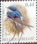 Stamps Belgium -  Intercambio 0,25 usd 44 cent. 2003