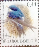 Stamps Belgium -  Intercambio 0,25 usd 44 cent. 2003