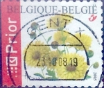 Stamps Belgium -  Intercambio 0,35 usd 50 cents.  2005