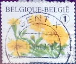 Stamps Belgium -  Intercambio 0,75 usd 