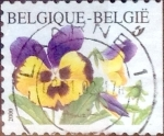 Stamps Belgium -  Intercambio 0,25 usd 17 fr. 2000