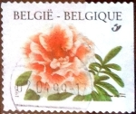 Stamps Belgium -  Intercambio nfxb 0,25 usd 17 fr. 1997