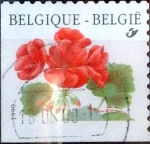 Stamps Belgium -  Intercambio 0,20 usd 17 fr. 1999