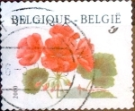 Stamps Belgium -  Intercambio 0,20 usd 17 fr. 1999