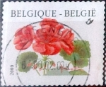 Stamps Belgium -  Intercambio 0,20 usd 17 fr. 1999