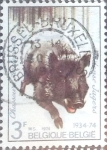 Stamps Belgium -  Intercambio 0,20 usd 3,00 fr. 1974
