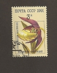 Stamps Russia -  Orquideas:Cyprepedium calceolus