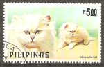 Sellos de Asia - Filipinas -  CHINCHILLA CAT