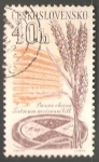 Stamps Czechoslovakia -  Triticum aestivum - Trigo