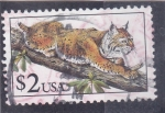 Stamps United States -  felino americano