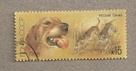 Stamps Russia -  Perro de caza