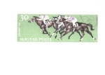 Stamps : Europe : Hungary :  caballos