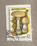 Stamps Russia -  Seta Amanita pantherina