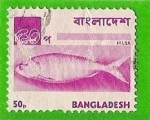 Sellos del Mundo : Asia : Bangladesh : hilsa