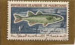 Stamps Mauritania -  mugil sephalus