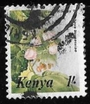 Sellos del Mundo : Africa : Kenya : Kenya-cambio