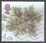 Stamps United Kingdom -  Flores