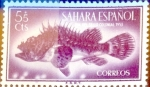 Stamps Spain -  Intercambio jxi2 0,20 usd 5 + 5 cents. 1953