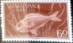Sellos de Europa - Espa�a -  Intercambio cr2f 0,40 usd 60 cents. 1954
