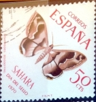 Stamps Spain -  Intercambio jxi2 0,20 usd 50 cents. 1970