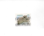 Stamps : America : Canada :  oso polar