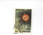 Stamps Tanzania -  araña