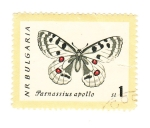Stamps Bulgaria -  Parnassius apollo