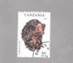 Stamps Tanzania -  gordon setter