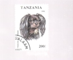 Sellos de Africa - Tanzania -  toy terrier