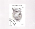 Sellos de Africa - Tanzania -  perro