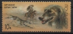 Stamps Russia -  GALGO  KIRGHIZ