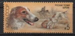 Sellos de Europa - Rusia -  GALGO  RUSO  PARA  LA  CAZA