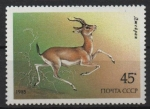 Stamps Russia -  GAZALLA  SUBGUTTUROSA