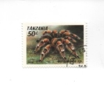 Stamps Tanzania -  tarantula
