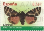 Stamps Spain -  FAUNA. MARIPOSAS. Artimelia latreillei. EDIFIL 4533