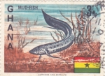 Sellos de Africa - Ghana -  Mud-fish