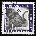 Stamps : Africa : Guinea_Bissau :  Guinea Bissau-cambio