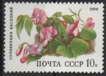Stamps Russia -  OROBUS  VERNUS  
