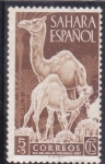 Stamps Spain -  DROMEDARIOS