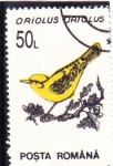 Stamps Romania -  AVE-ORIOLUS ORTOLUS