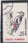 Stamps Romania -  AVES-DENDROCOPOS MAJOR